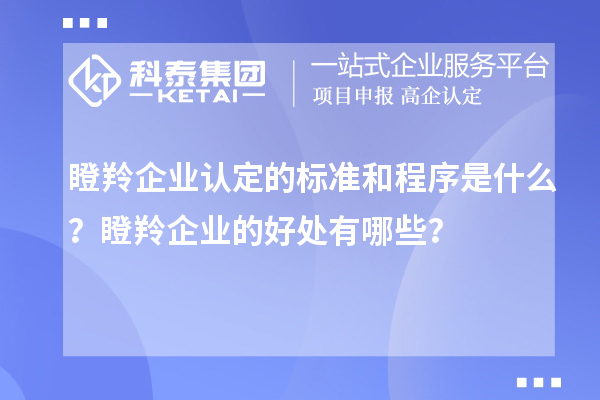 瞪羚企业认定的标准和程序是什么？瞪羚企业的好处有哪些？
