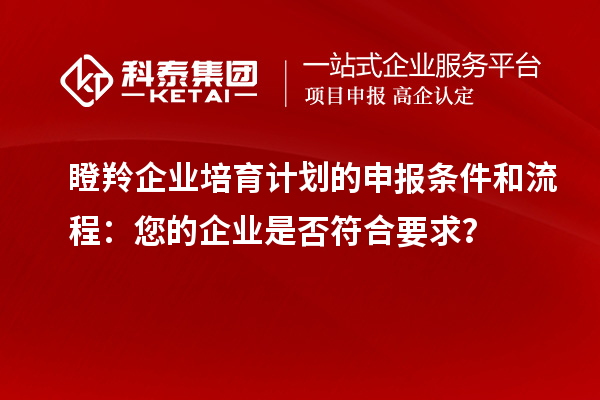 瞪羚企业培育计划的申报条件和流程：您的企业是否符合要求？