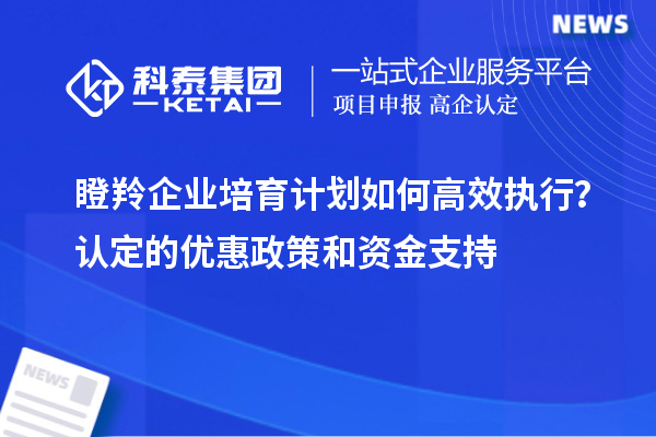 瞪羚企业培育计划如何高效执行？认定的优惠政策和资金支持