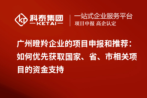 广州瞪羚企业的项目申报和推荐：如何优先获取国家、省、市相关项目的资金支持