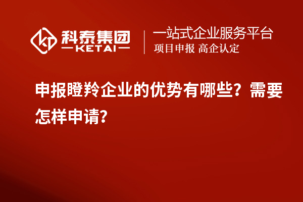 申报瞪羚企业的优势有哪些？需要怎样申请？