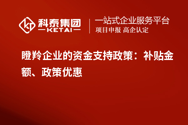 瞪羚企业的资金支持政策：补贴金额、政策优惠