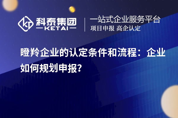 瞪羚企业的认定条件和流程：企业如何规划申报？