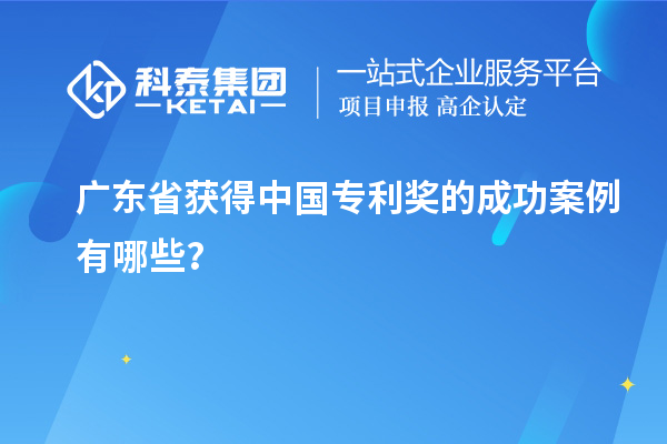 广东省获得中国专利奖的成功案例有哪些？