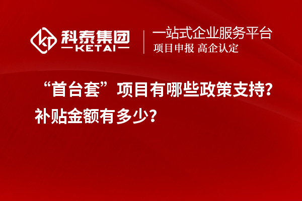 “首台套”项目有哪些政策支持？补贴金额有多少？