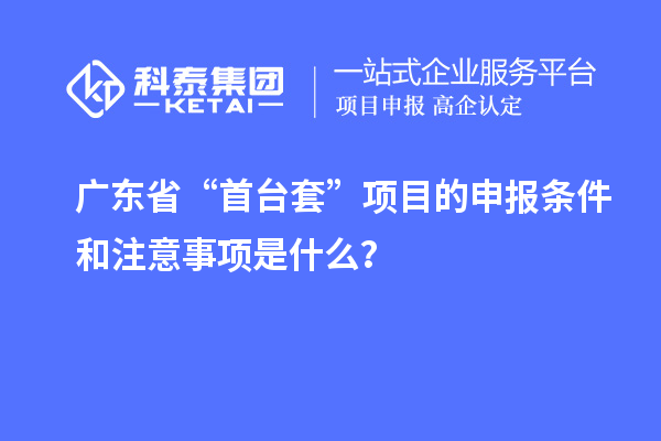 广东省“首台套”项目的申报条件和注意事项是什么？