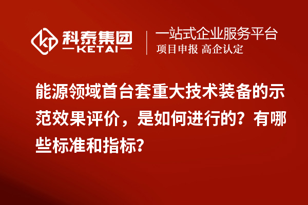 能源领域首台套重大技术装备的示范效果评价，是如何进行的？有哪些标准和指标？
