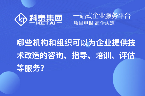 哪些机构和组织可以为企业提供技术改造的咨询、指导、培训、评估等服务？