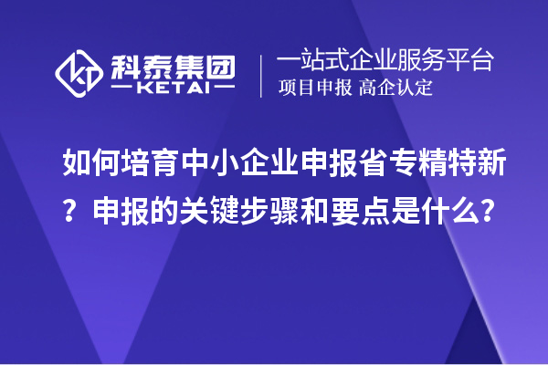如何培育中小企业申报省专精特新？申报的关键步骤和要点是什么？