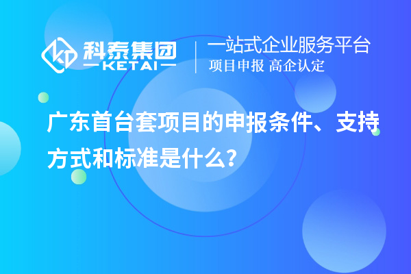 广东首台套项目的申报条件、支持方式和标准是什么？