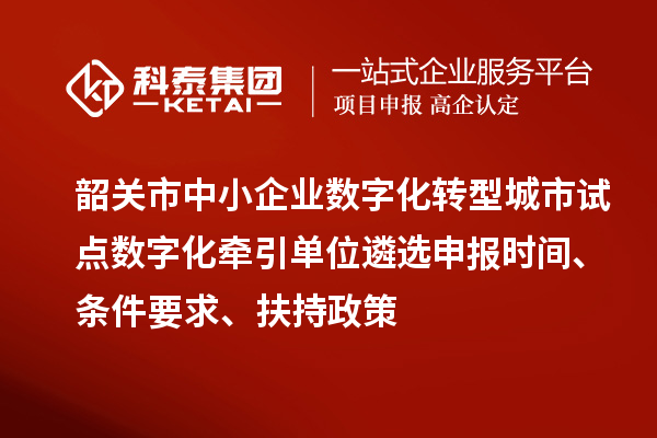 韶关市中小企业数字化转型城市试点数字化牵引单位遴选申报时间、条件要求、扶持政策