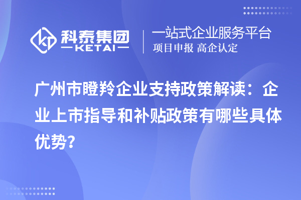广州市瞪羚企业支持政策解读：企业上市指导和补贴政策有哪些具体优势？