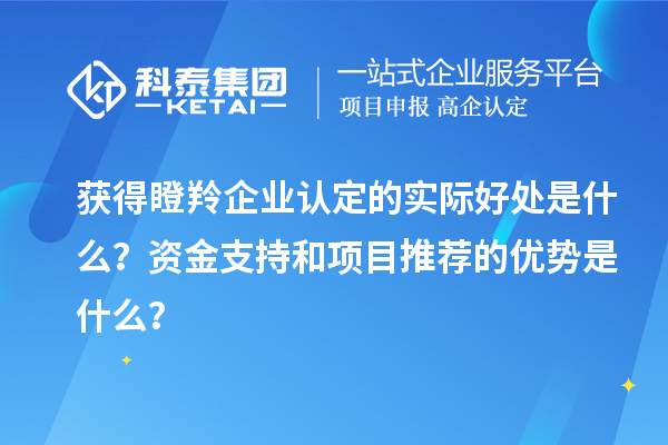 获得瞪羚企业认定的实际好处是什么？资金支持和项目推荐的优势是什么？