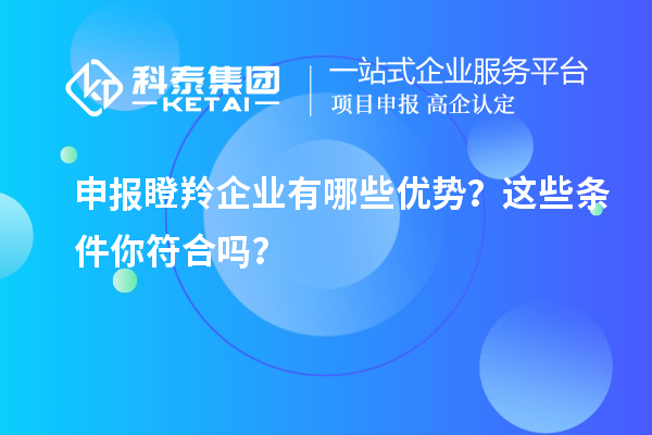 申报瞪羚企业有哪些优势？这些条件你符合吗？