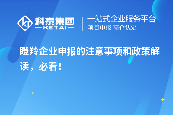 瞪羚企业申报的注意事项和政策解读，必看！