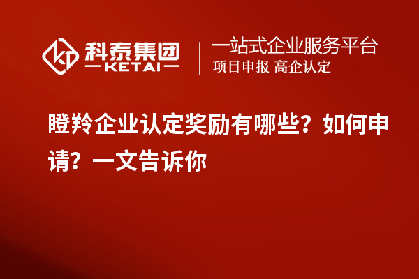 瞪羚企业认定奖励有哪些？如何申请？一文告诉你