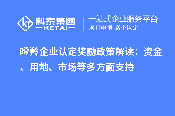 瞪羚企业认定奖励政策解读：资金、用地、市场等多方面支持