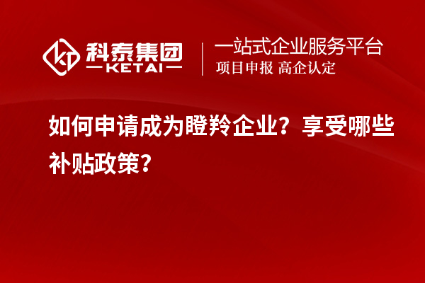 如何申请成为瞪羚企业？享受哪些补贴政策？
