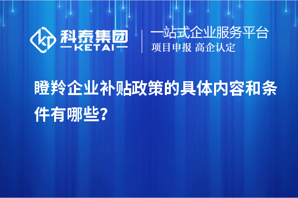 瞪羚企业补贴政策的具体内容和条件有哪些？