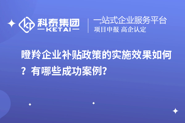 瞪羚企业补贴政策的实施效果如何？有哪些成功案例？