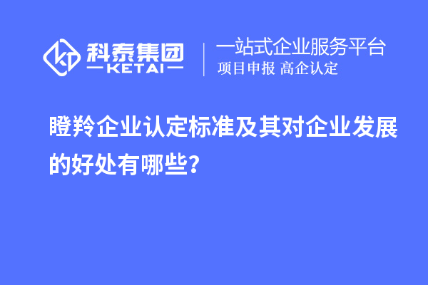 瞪羚企业认定标准及其对企业发展的好处有哪些？