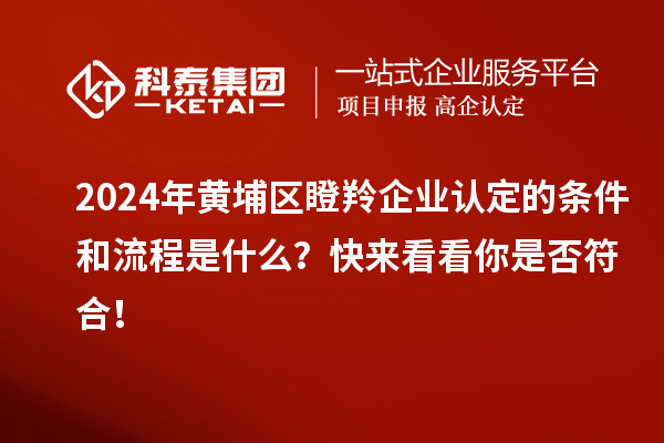 2024年黄埔区瞪羚企业认定的条件和流程是什么？快来看看你是否符合！