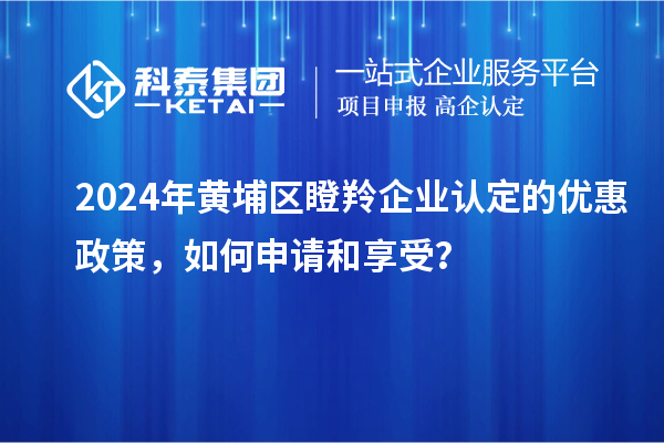 2024年黄埔区瞪羚企业认定的优惠政策，如何申请和享受？