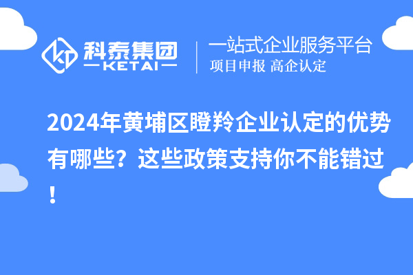 2024年黄埔区瞪羚企业认定的优势有哪些？这些政策支持你不能错过！