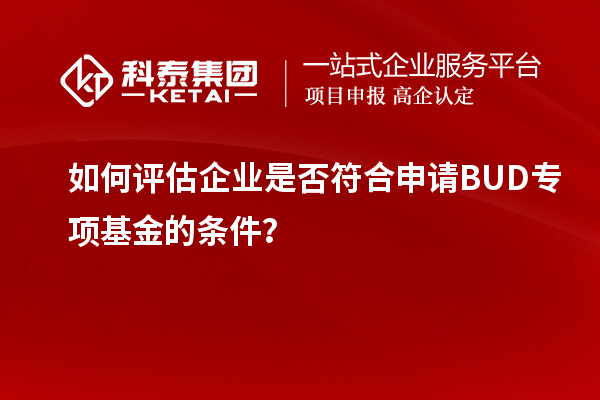如何评估企业是否符合申请BUD专项基金的条件？
