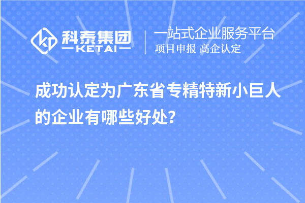 成功认定为广东省专精特新小巨人的企业有哪些好处？
