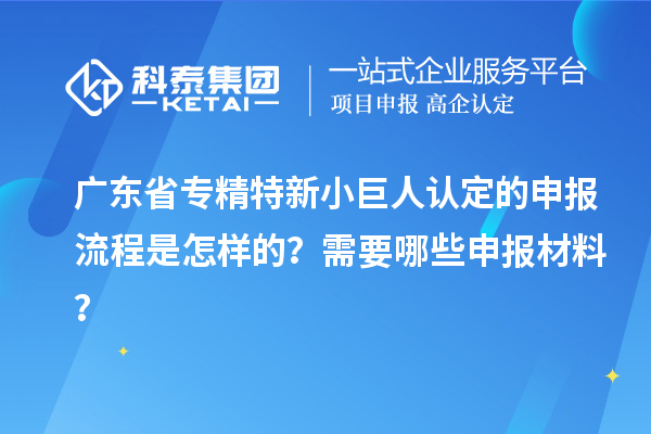 广东省专精特新小巨人认定的申报流程是怎样的？需要哪些申报材料？
