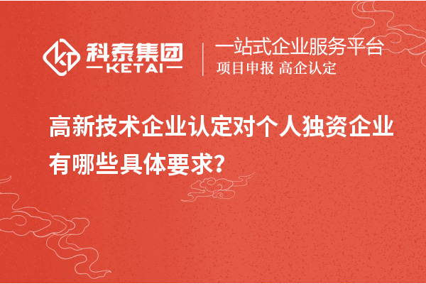 高新技术企业认定对个人独资企业有哪些具体要求？