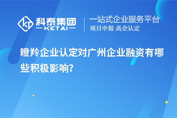 瞪羚企业认定对广州企业融资有哪些积极影响？