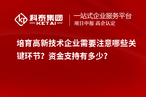 培育高新技术企业需要注意哪些关键环节？资金支持有多少？
