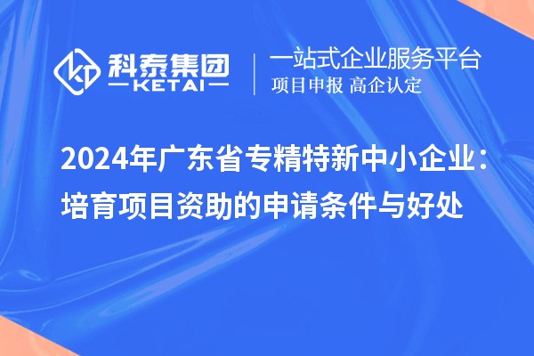 2024年广东省<a href=http://www.1ys1w.cn/fuwu/zhuanjingtexin.html target=_blank class=infotextkey>专精特新中小企业</a>：培育项目资助的申请条件与好处