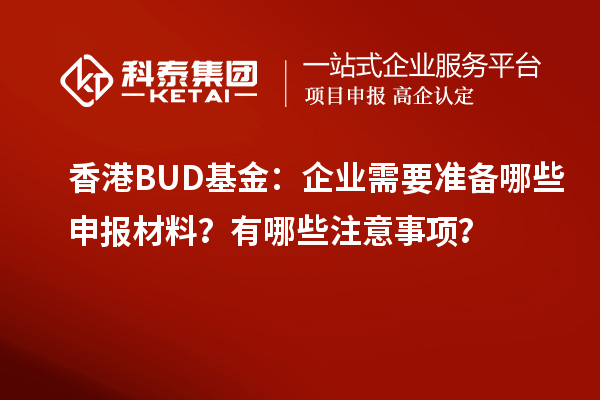 香港BUD基金：企业需要准备哪些申报材料？有哪些注意事项？