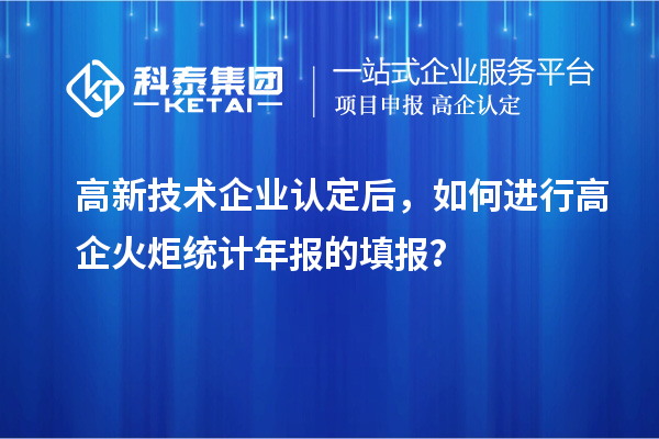 高新技术企业认定后，如何进行高企火炬统计年报的填报？