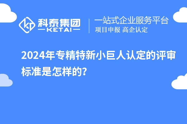 2024年专精特新小巨人认定的评审标准是怎样的？