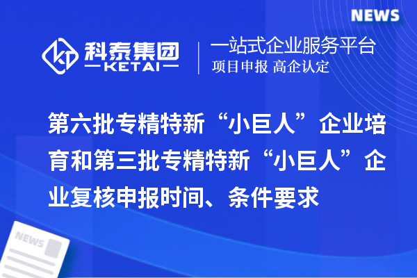 第六批专精特新“小巨人”企业培育和第三批专精特新“小巨人”企业复核申报时间、条件要求、补助奖励