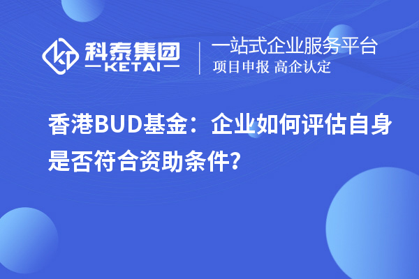 香港BUD基金：企业如何评估自身是否符合资助条件？