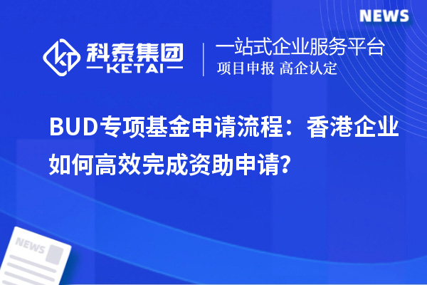 BUD专项基金申请流程：香港企业如何高效完成资助申请？