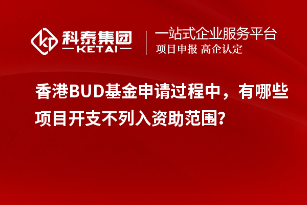 香港BUD基金申请过程中，有哪些项目开支不列入资助范围？