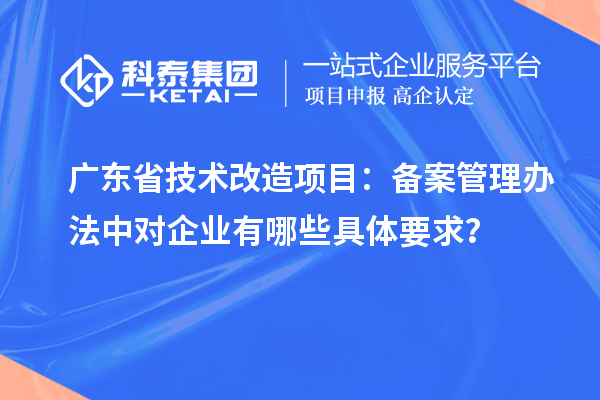 广东省技术改造项目：备案管理办法中对企业有哪些具体要求？