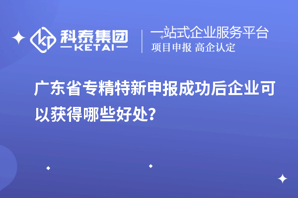 广东省专精特新申报成功后企业可以获得哪些好处？