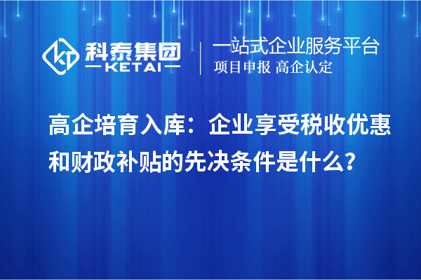 高企培育入库：企业享受税收优惠和财政补贴的先决条件是什么？