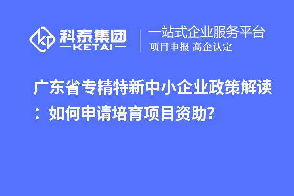 广东省专精特新中小企业政策解读：如何申请培育项目资助？