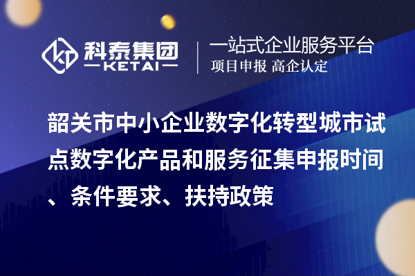 韶关市中小企业数字化转型城市试点数字化产品和服务征集申报时间、条件要求、扶持政策
