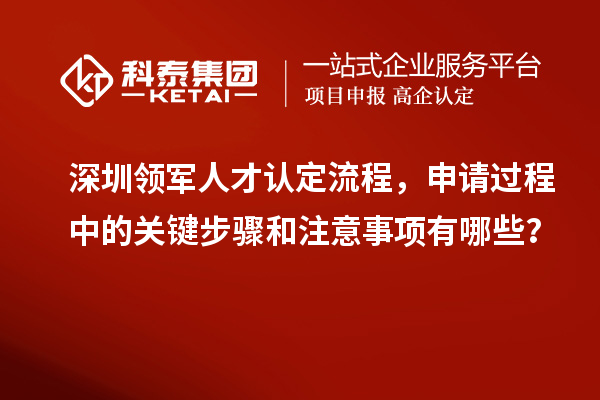 深圳领军人才认定流程，申请过程中的关键步骤和注意事项有哪些？