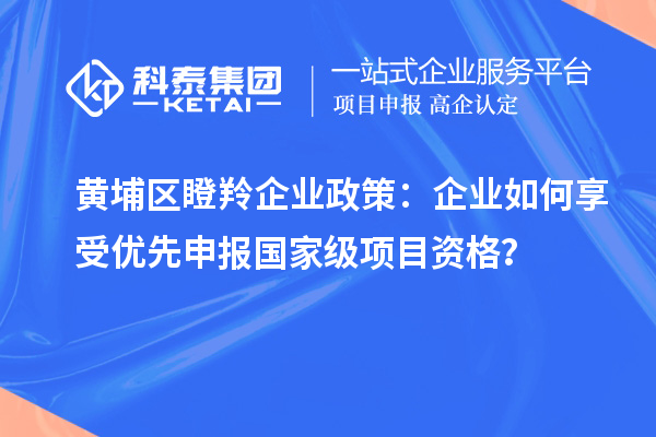 黄埔区瞪羚企业政策：企业如何享受优先申报国家级项目资格？