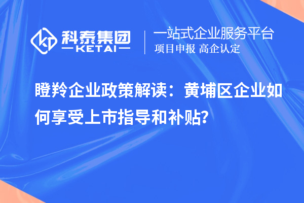 瞪羚企业政策解读：黄埔区企业如何享受上市指导和补贴？